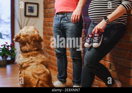 Donna incinta che tiene il piccolo bambino conversare scarpe con il marito in background e Golden retriever cane che li guarda - famiglia Foto Stock