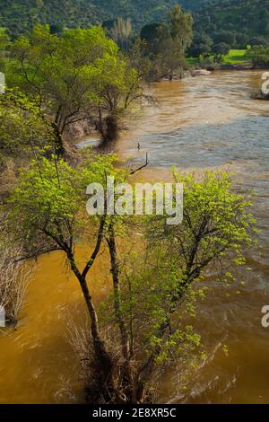 Primavera en el Río Jándula, Parque Natural Sierra de Andújar, Jaen, Andalucía, España Foto Stock