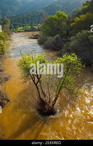 Primavera en el Río Jándula, Parque Natural Sierra de Andújar, Jaen, Andalucía, España Foto Stock