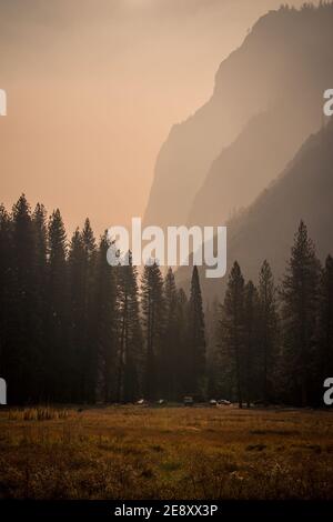 Automobili sotto alberi e montagne Prato di Cook, Yosemite Foto Stock