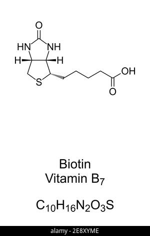 Biotina, vitamina B7, formula chimica e struttura scheletrica. Coinvolto in molti processi metabolici. Foto Stock