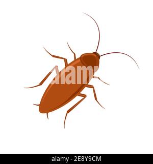 Icona vettore bug di cockroach. Roach silhouette insetto nero icona illustrazione Pest. Illustrazione Vettoriale