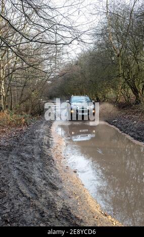 Veicolo Izuzu D max che guida lungo una pista forestale con parco acquatico. Foto Stock