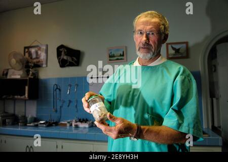 Pierre Auroy, veterinaire, montre le 05 ottobre 2007, a Biarritz, Francia, ce qu'il a recupere dans l'estomac de Twister, un chien de race colley mort empossonne. Twister fait partie des huit chiens morts subitement entre le 22 et le 30 septembre 2007 dans le quartier du golf de Biarritz. Une enquete a ete ouverte. Jules Motte/ABACAPRESS.COM Foto Stock