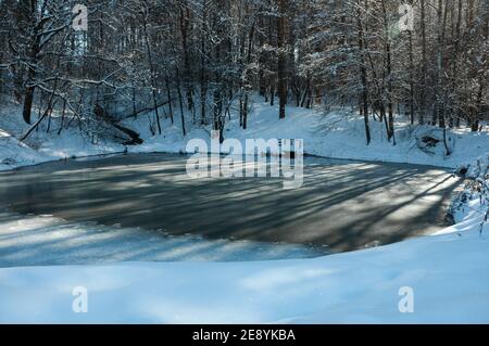 Vista invernale del paesaggio del laghetto della foresta coperto di ghiaccio in una giornata di sole gelida. Paesaggio panoramico di lago forestale circondato da alberi. Russia Foto Stock