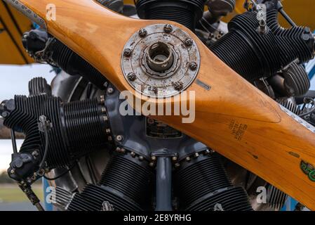 Un primo piano di un propulsore di un aereo a due pale in legno su un motore radiale degli anni '30. Foto Stock