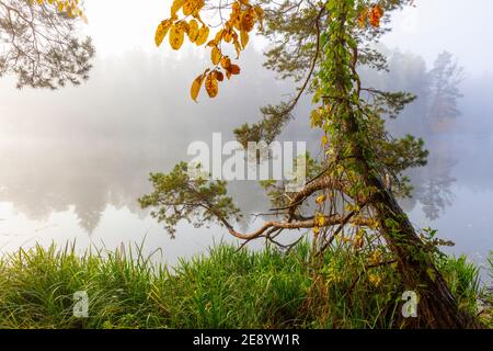 Autunno al lago Masuriano, Polonia Foto Stock