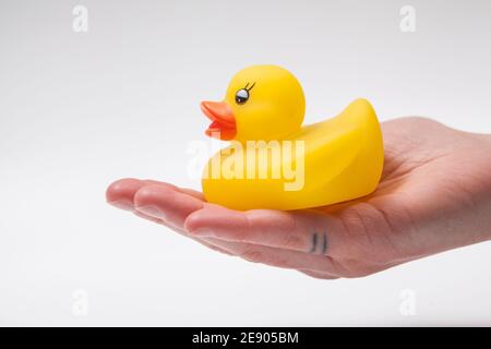 Anatra di gomma gialla nel palmo della mano Foto Stock