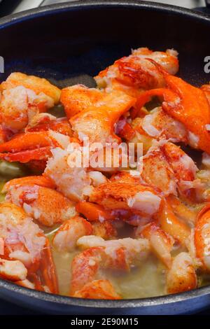 Salate la carne di aragosta in una padella Foto Stock