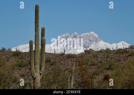 Una tempesta invernale copre le quattro montagne sulla neve nella natura selvaggia del deserto dell'Arizona fuori dalla città di Phoenix. Foto Stock