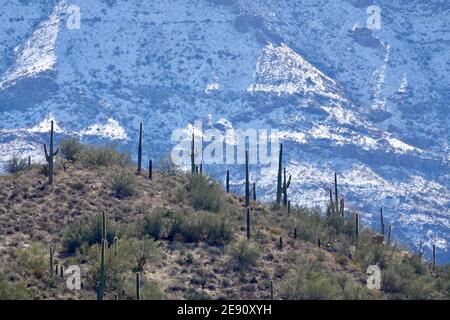 Una tempesta invernale copre le quattro montagne sulla neve nella natura selvaggia del deserto dell'Arizona fuori dalla città di Phoenix. Foto Stock