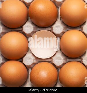 Far rosolare le uova di pollo fresche e una conchiglia rotta nella scatola di cartone. Primo piano naturale uovo organico modello. Cibo sano fattoria reale. Vista dall'alto, disposizione piatta Foto Stock