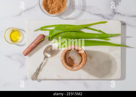 Aloe vera, zucchero di canna, olio d'oliva da vicino su sfondo marmoreo. Ingredienti per scrub viso e corpo. Cura della pelle, ingredienti organici, cosmetologia conc Foto Stock