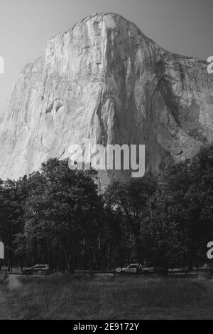 El Capitan visto dal pavimento della valle di Yosemite. Foto verticale in bianco e nero Foto Stock