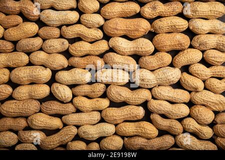 Sfondo di arachidi non pelate. (Arachis ipogaea) semi commestibili. Concetto di nutrizione sana dello snack Foto Stock