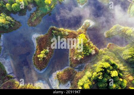Vista aerea lago paludoso in autunno giorno di sole Foto Stock
