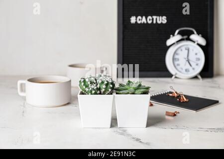 Vasi di fiori con succulento e cactus sul tavolo Foto Stock