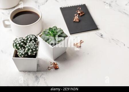 Vasi di fiori con succulento e cactus sul tavolo Foto Stock