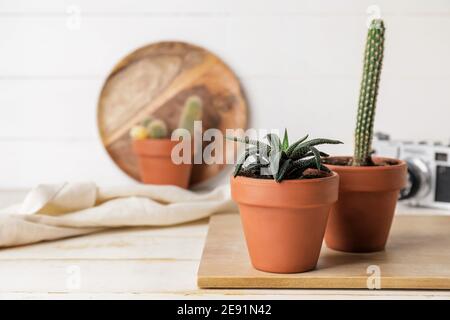 Tavola con succulente e cactus sul tavolo Foto Stock