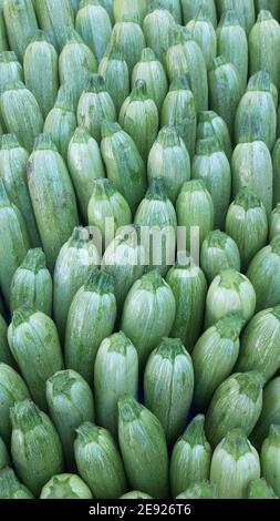 Zucchine fresche di colore verde chiaro accatastate da un mucchio di tegole dall'alto Foto Stock