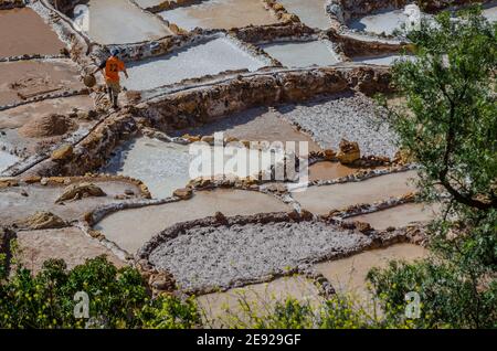 Lavoratore a salinera de Maras che sono ancora gestiti dalla gente locale a Cusco zona, Perù, Andes Foto Stock