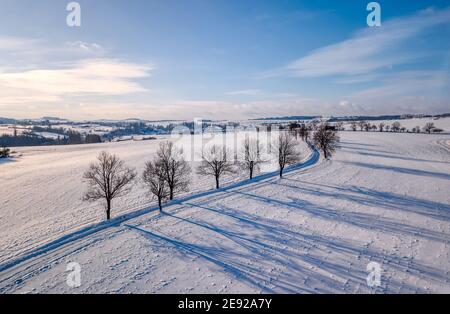 Paesaggio invernale con strada rurale in una giornata soleggiata gelata. Repubblica Ceca, Regione Altopiano Vysocina, Europa Foto Stock