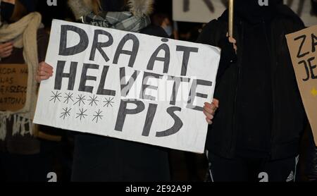 I manifestanti con banner VANNO ALL'INFERNO PIS in norvegese, e 8 stelle simboleggiano l'opinione critica circa il partito di giustizia e di legge in Polonia Foto Stock