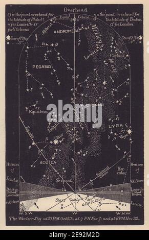 Western notte cielo stella mappa novembre. Scorpione. Dal 23 ottobre al 22 novembre. PROCTOR 1881 Foto Stock