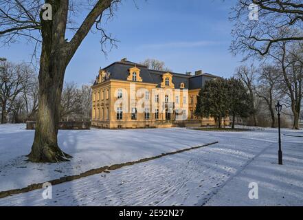 Altranft, Germania. 01 Feb 2021. La neve si trova nel parco presso la casa padronale barocca di Altranft vicino a Bad Freienwalde. L'edificio ospita il 'Museo Altranft - laboratorio di Cultura Rurale'. Credit: Patrick Pleul/dpa-Zentralbild/ZB/dpa/Alamy Live News Foto Stock