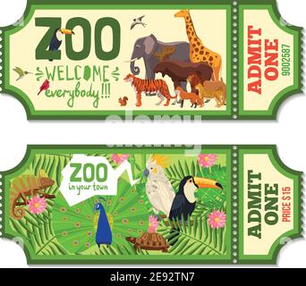 Biglietti colorati per lo zoo con piante tropicali, uccelli esotici e africani illustrazione vettoriale piatta degli animali Illustrazione Vettoriale