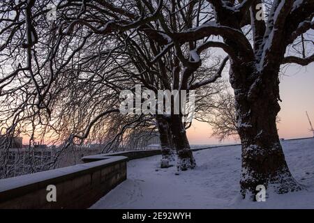 Nottingham Castle Grounds nella neve, Nottingham City Nottinghamshire Inghilterra Regno Unito Foto Stock