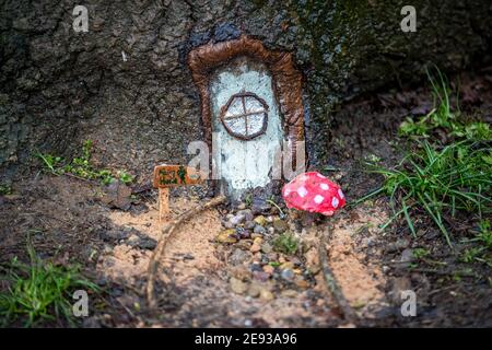 Una porta Fantasy alla base di un grande albero in Abington Park, creatore sconosciuto. Foto Stock