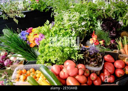 Verdure assortite direttamente dalla fattoria al ristorante Foto Stock