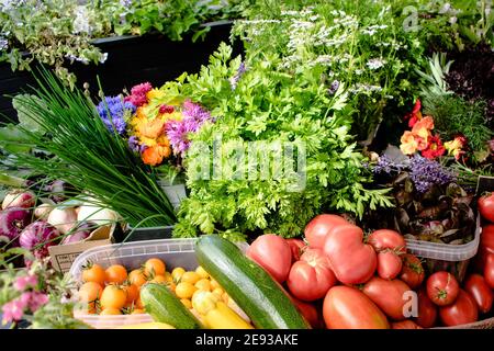 Verdure assortite direttamente dalla fattoria al ristorante Foto Stock