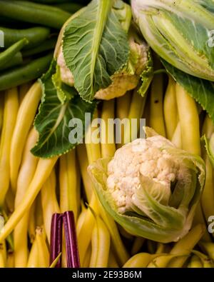 Verdure assortite direttamente dalla fattoria al ristorante Foto Stock