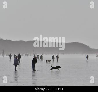 Weston Super Mare, Regno Unito. 02 febbraio 2021. Regno Unito Meteo. Durante il National Lockdown gli escursionisti con i loro cani sono visti esercitarsi sulla spiaggia di Weston Super Mare su una spiaggia umida e bagnata mentre la marea esce. Credito immagine: Robert Timoney/Alamy Live News Foto Stock