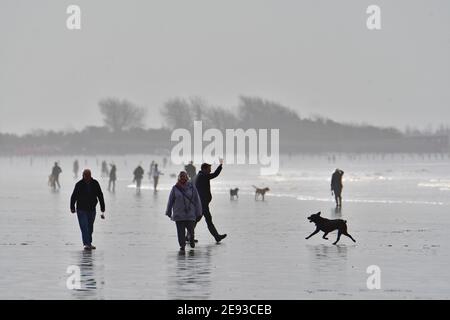 Weston Super Mare, Regno Unito. 02 febbraio 2021. Regno Unito Meteo. Durante il National Lockdown gli escursionisti con i loro cani sono visti esercitarsi sulla spiaggia di Weston Super Mare su una spiaggia umida e bagnata mentre la marea esce. Credito immagine: Robert Timoney/Alamy Live News Foto Stock