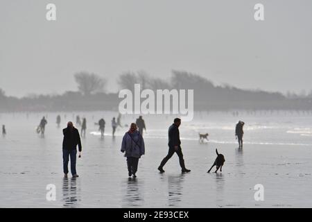 Weston Super Mare, Regno Unito. 02 febbraio 2021. Regno Unito Meteo. Durante il National Lockdown gli escursionisti con i loro cani sono visti esercitarsi sulla spiaggia di Weston Super Mare su una spiaggia umida e bagnata mentre la marea esce. Credito immagine: Robert Timoney/Alamy Live News Foto Stock