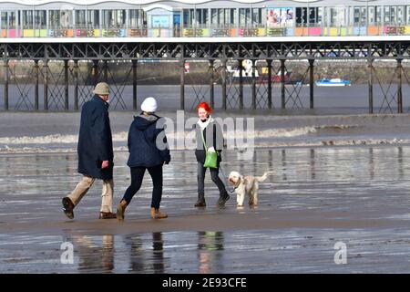 Weston Super Mare, Regno Unito. 02 febbraio 2021. Regno Unito Meteo. Durante il National Lockdown gli escursionisti con i loro cani sono visti esercitarsi sulla spiaggia di Weston Super Mare su una spiaggia umida e bagnata mentre la marea esce. Credito immagine: Robert Timoney/Alamy Live News Foto Stock