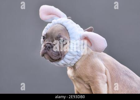 forno, panetteria, palla, berliner, marrone, calorie, carnevale, confetti, delizioso, dessert, ciambella, ciambella, mangiare, grasso, ripieno, cibo, fresco, fritto, tedesco, Foto Stock