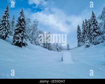 Sentiero di montagna coperto di neve, giornata di sole Foto Stock