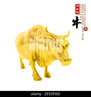 Tradizione cinese oro statua del bue, 2021 è l'anno del bue, cinese caratteri traduzione: 'Ox'.leftside cinese formulazione e sigillo media:cinese calendario Foto Stock