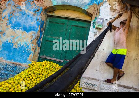 Un lavoratore colombiano appende una rete ombreggiata per proteggere un mucchio di arance verdi (per la spremitura) in un mercato della frutta all'aperto a Barranquilla, Colombia. Foto Stock