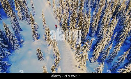 Donna sci di fondo attraverso un idilliaco paese delle meraviglie invernali. Foto Stock