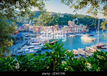 Bella costa con case colorate a Portofino, Italia Europa Portofino in Liguria, Italia. Genova Foto Stock