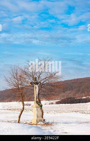 Gli dèi di tortue vicino Velka Trna, regione di Tokaj, Slovacchia Foto Stock