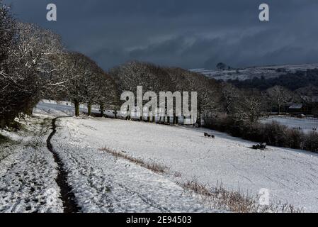 Paesaggio invernale attraverso il Lancashire Foto Stock