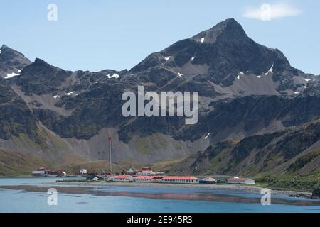 Si avvicina al porto di Grytviken, isola della georgia meridionale, Antartide Foto Stock