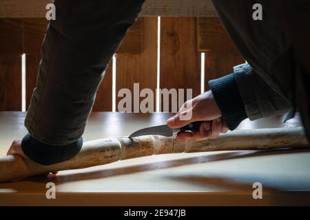 Processo di uomo che fa bastone di legno che cammina all'interno durante la quarantena. Bastone di legno intagliato sulla tavola usando il coltello Foto Stock