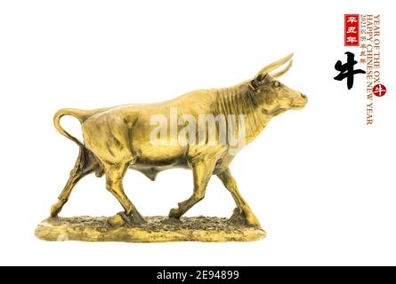 Tradizione cinese Golden statue ox, 2021 è l'anno del bue, cinese caratteri traduzione: 'Ox'.Rightside cinese formulazione e sigillo media: Cinese calenda Foto Stock